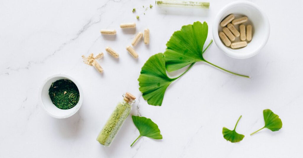 Flat lay of herbal supplements with ginkgo leaves on marble surface, emphasizing natural health remedies.